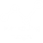 Network Marketing Integral